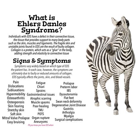 Pepper's Diagnosis: Ehlers-Danlos Syndrome