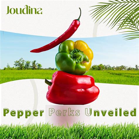 Pepper Fun Pack Epub