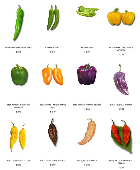 Pepper Names: A Culinary Odyssey