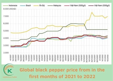 Pepper Prices: A Comprehensive Analysis