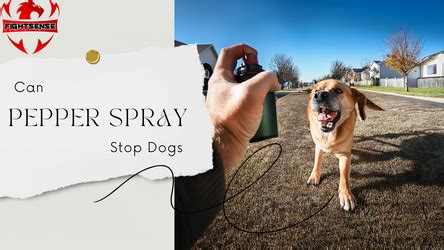 Pepper Spray: A Discussion on Ethical and Effective Canine Use