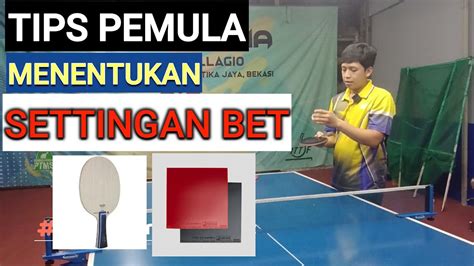 Perbedaan Warna Bet Pingpong: Panduan Lengkap untuk Pemilihan yang Tepat