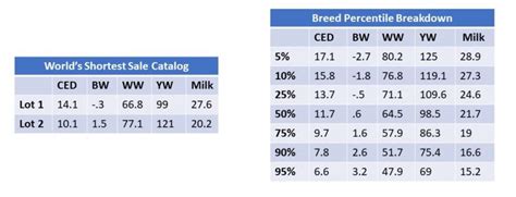 Percentile Breakdown