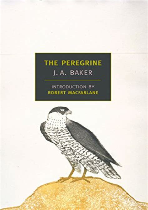 Peregrine York Review Books Classics PDF