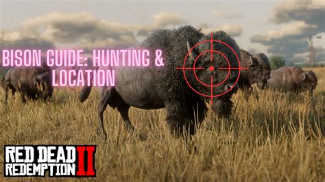 Perfect Bison Pelt RDR2: The Ultimate Guide to Hunting and Skinning