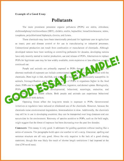 Perfect Essay Epub