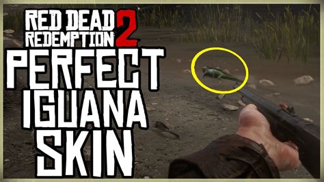 Perfect Iguana Skin RDR2: Mastering the Hunt