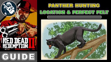 Perfect Panther Pelt RDR2: The Ultimate Guide