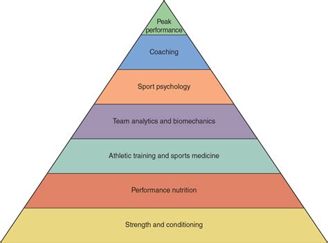 Performance Characteristics of Basketballs