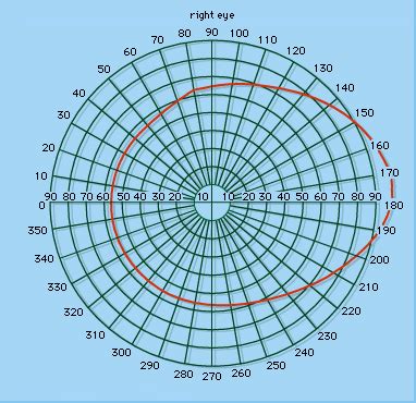Perimeter Chart For Eye