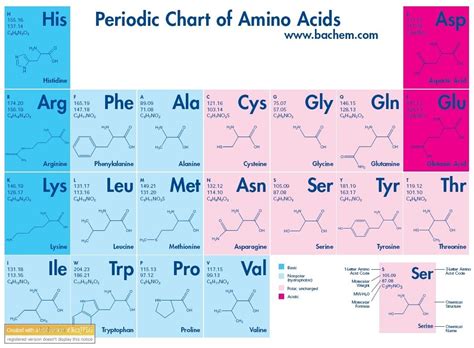 Periodic Chart Of Amino Acids