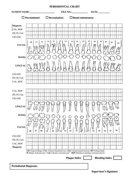 Periodontal Probing Chart Template