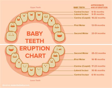 Permanent Tooth Growing in Front of Baby Tooth: A Comprehensive Guide