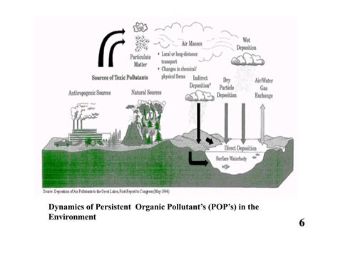 Persistent Organic Pollutants PDF