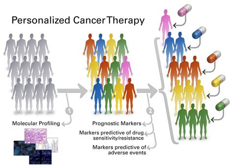 Personalized Cancer Diagnosis: