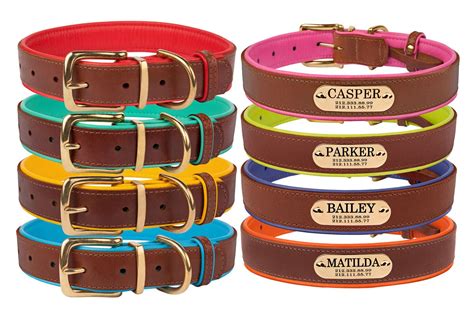 Personalized Dog Collars: A Symphony of Style and Functionality