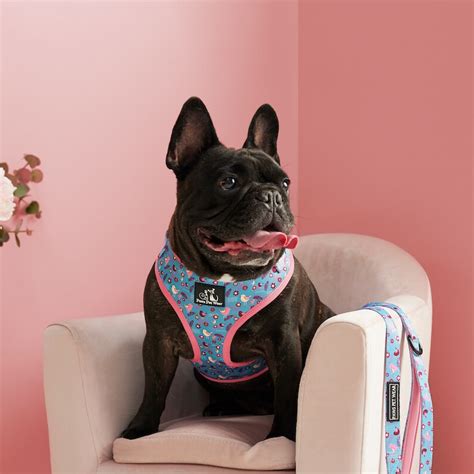 Personalized Pet Shirts: Unveil the Cutest and Most Comfortable Way to Pamper Your Furry Friend