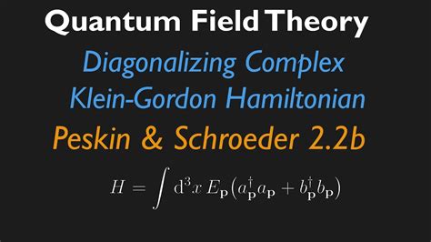 Peskin And Schroeder Solution Reader