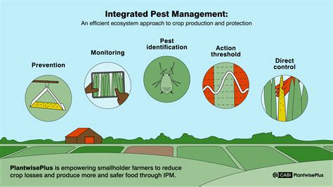 Pest Control by the Numbers