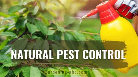 Pest Control for Organic Gardening Natural Methods for Pest and Disease Control PDF