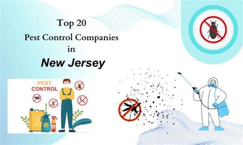 Pest Control in New Jersey: A 10,000-Character Guide