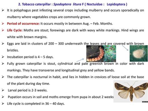 Pests and Diseases of Mulberry and their Management Reader