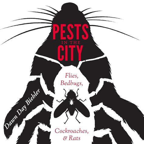 Pests in the City Flies Doc