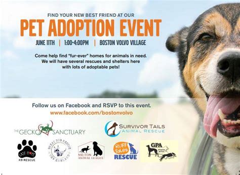 Pet Adoption Events This Weekend Near Me: 5 Unmissable Events!