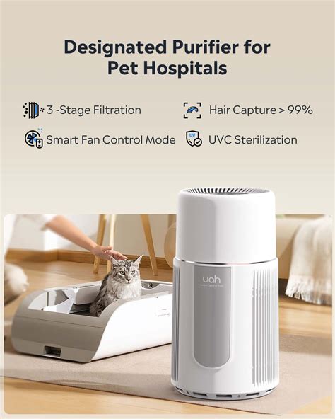 Pet Air Purifier Decibel Rating: 2025 Edition