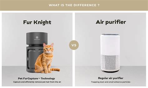 Pet Air Purifier VS Data Analytics: 2025 Powerhouse in IoT