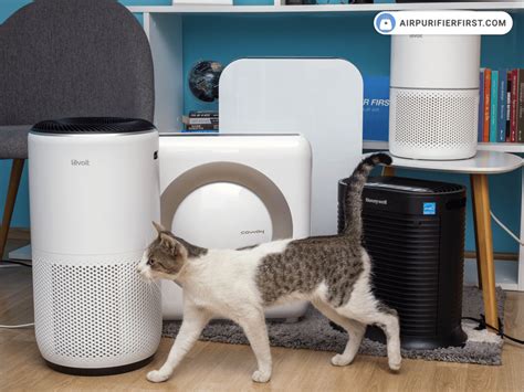 Pet Air Purifier vs Pet Accidents: The Perfect 2025 Solution