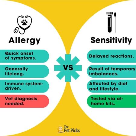 Pet Allergies vs. Intolerances: 2025 Guide to Causes