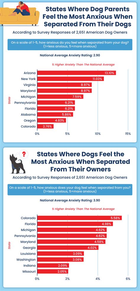 Pet Anxiety and Fear of Separation: The Statistics