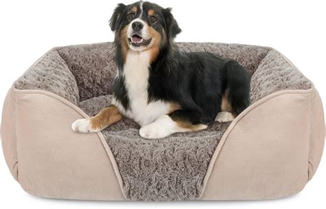 Pet Bed Durability and Lifespan: 2025