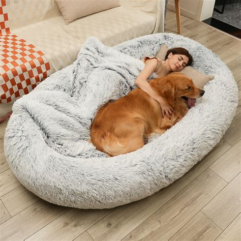 Pet Bedding and Comfort: Ultimate Guide to 2025