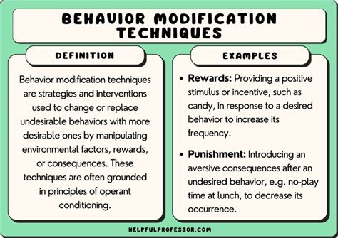 Pet Behavior Modification vs. Correction: A 2025 Perspective