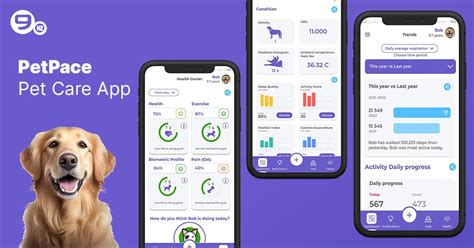 Pet Care App for Senior Pets: Revolutionizing Care in 2025