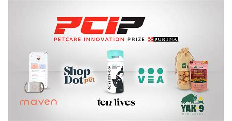 Pet Care Innovation VS Startups: The Battle for 2025