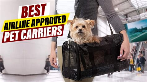 Pet Carriers and Travel Gear: A Comprehensive Guide for 2025