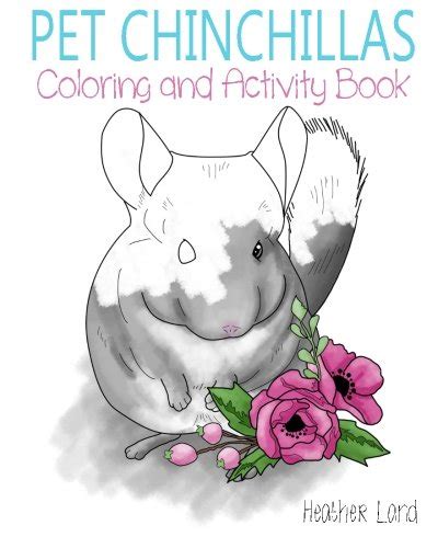 Pet Chinchillas Coloring and Activity Book Doc