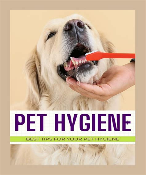 Pet Cleaning and Hygiene for Digestive Issues: The Essential 2025 Guide for Pet Owners