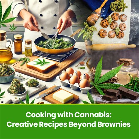 Pet Cooking and Recipes Innovations: 2025 and Beyond