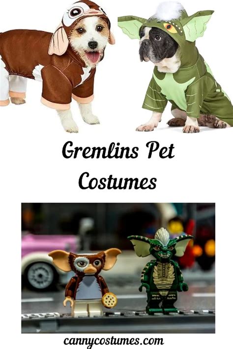 Pet Costumes and Dress-up: A Comprehensive Guide to 2025