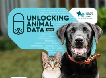 Pet Fear and Nutrition: Unlocking the Link in 2025