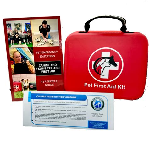 Pet First Aid and CPR: A Comprehensive Guide for 2025 and Beyond