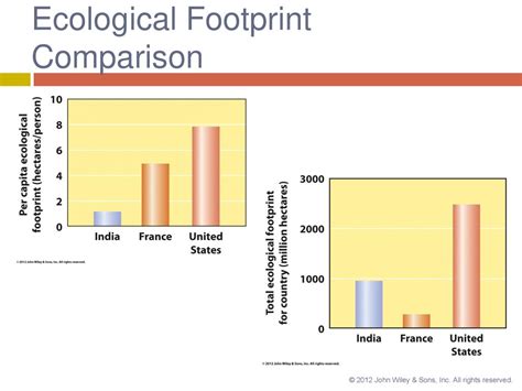 Pet Food's Water Footprint: A Comprehensive Comparison