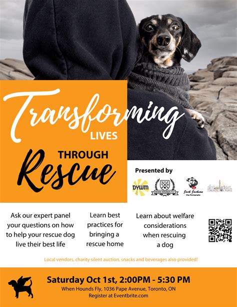 Pet Food Adoption Stories and Testimonials: Transforming Lives in 2025