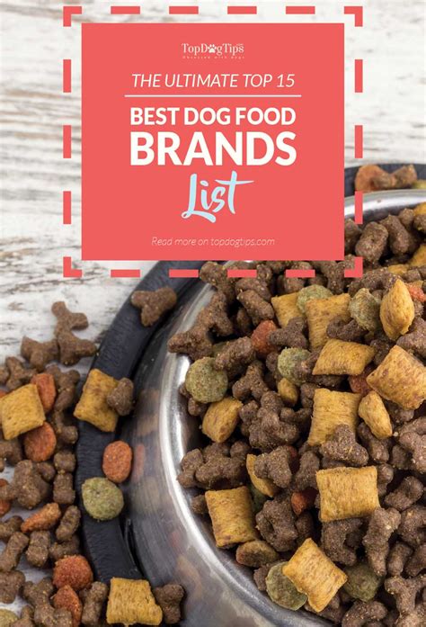 Pet Food Brand Reviews: 2025 Showdown of Top Brands