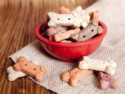 Pet Food and Treats: