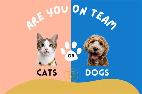 Pet Food vs. Pet Fashion: The Ultimate Showdown 2025